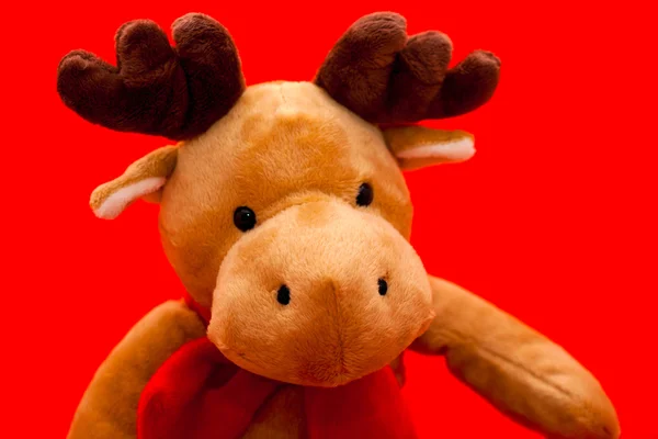 stock image Teddy christmas reindeer