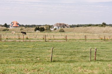 Pasture with houses and dunes at Ameland, a Dutch island clipart