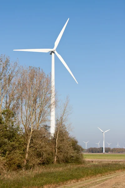 Большие ветряные турбины в голландской сельской местности — стоковое фото