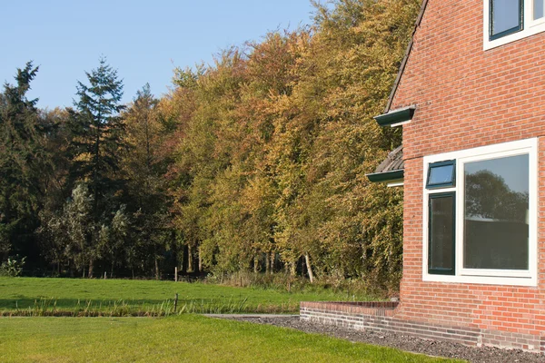 Holandský dům obklopen loukami a lesem — Stock fotografie
