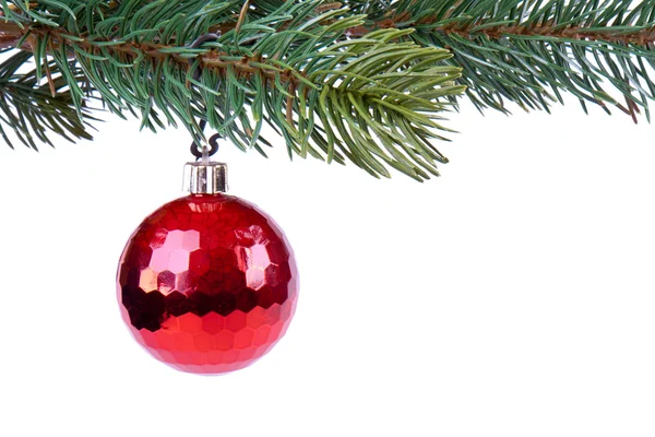 Christmas ball on green spruce branch — Stock Photo, Image