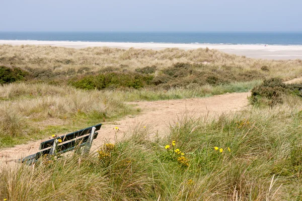 Nederländska kusten med sanddyner och strand — Stockfoto