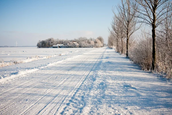荷兰农田被雪覆盖的冬季 — 图库照片