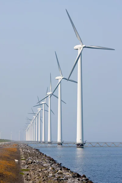 Pobřežní větrné turbíny v holandské moře — Stock fotografie