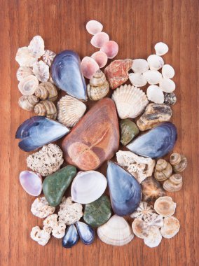 Beautiful decoration of colorful stones and shells clipart