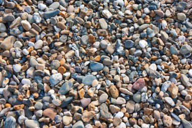 Colored pebbles at the beach clipart