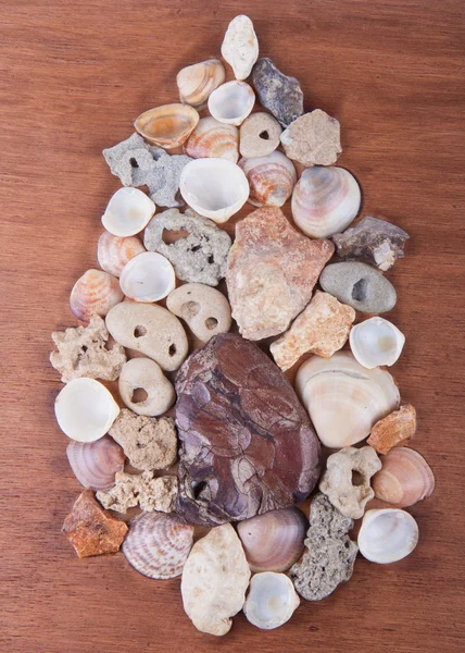 Beautiful decoration of colorful stones and shells — Stock Photo, Image