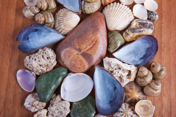 stock image Beautiful decoration of colorful stones and shells