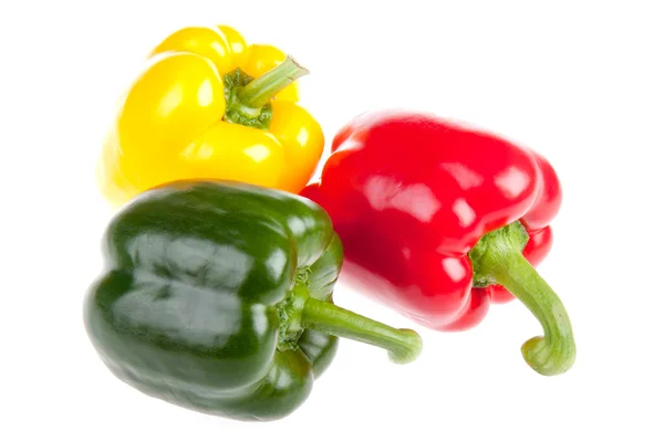 Três pimentas vermelhas, verdes e amarelas — Fotografia de Stock