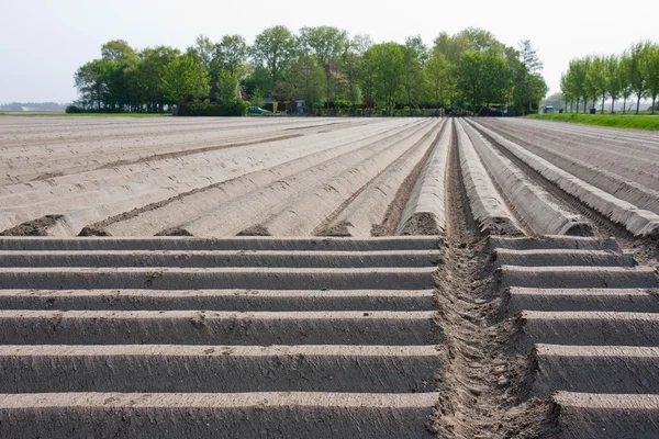 Nederlandse blote landbouwgrond in het voorjaar van — Stockfoto
