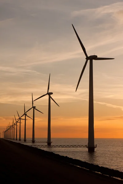 Длинный ряд ветряных турбин в море — стоковое фото