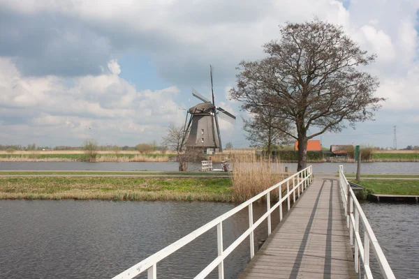 Moinho de vento histórico na primavera nos Países Baixos — Fotografia de Stock