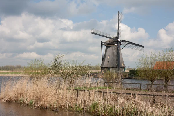 Molino de viento en los Países Bajos —  Fotos de Stock