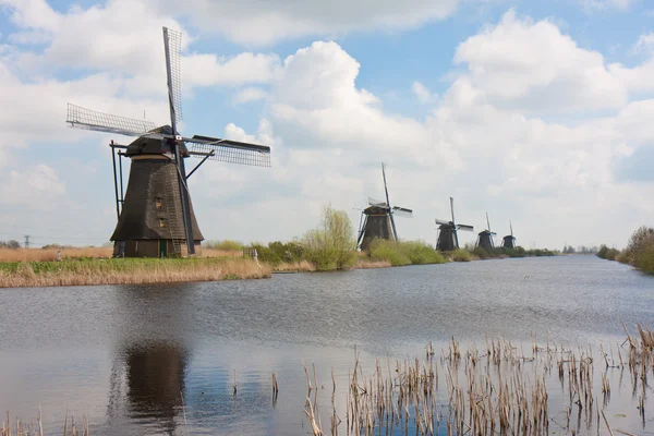 Molinos de viento históricos en Kinderdijk, Países Bajos — Foto de Stock