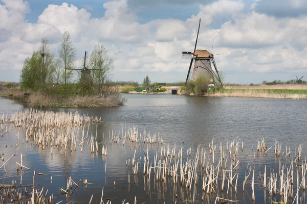 Velho moinho histórico nos Países Baixos — Fotografia de Stock
