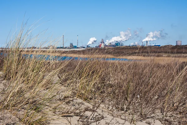 Usine sidérurgique néerlandaise vue depuis les dunes le long de la côte — Photo