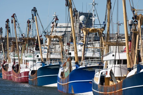 Dutch harbor with modern fishing cutters — Stock Photo, Image