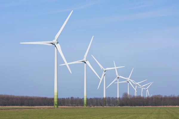 Paysage rural néerlandais avec éoliennes — Photo