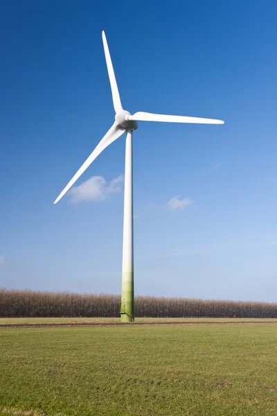 Turbina eolica nelle praterie del Flevoland, Paesi Bassi — Foto Stock