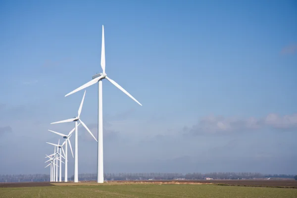 Голландский сельский пейзаж с ветряными турбинами — стоковое фото