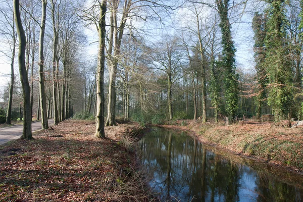Río holandés en hermoso paisaje forestal — Foto de Stock