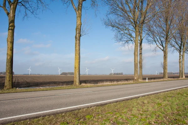 Paisagem rural holandesa com turbinas eólicas — Fotografia de Stock
