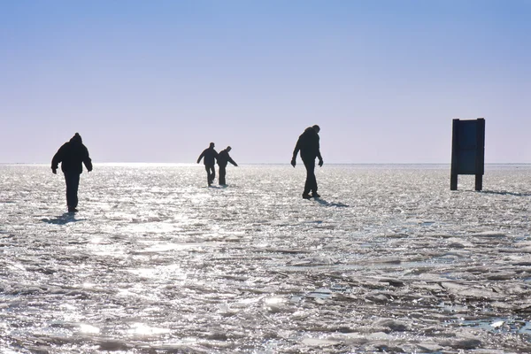 Čtyři mladí kluci dělat opatrně chodit na zamrzlé jezero — Stock fotografie