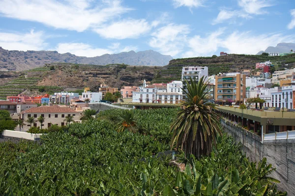 Plantación de plátanos cerca de Tazacorte, La Palma, Islas Canarias — Foto de Stock