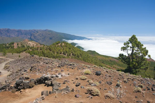 Vulkaniska landskap av la palma, Kanarieöarna — Stockfoto