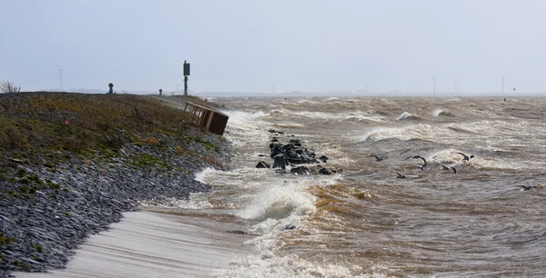 Dutch breakwater with wreckage during a heavy storm — Stock Photo, Image