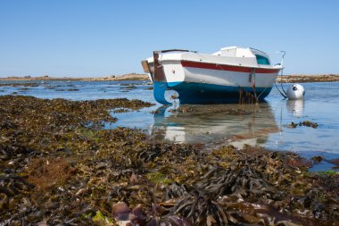 Boat at ebb tide in Bretagne, France clipart