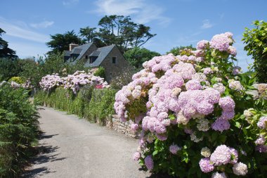 bahçede bretagne, Fransa ile geleneksel ev