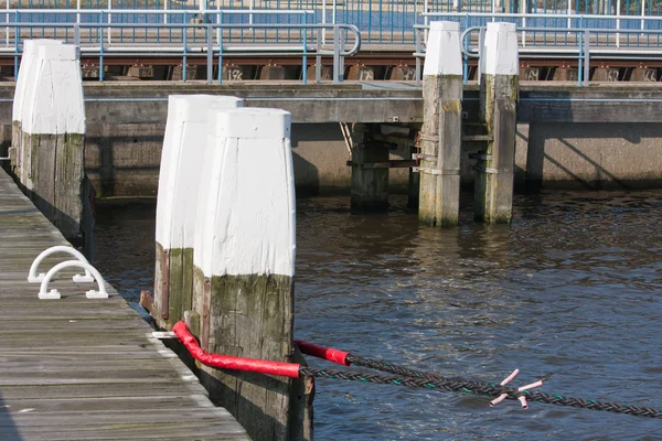 Προβλήτα με ξύλινα κολωνάκια σε ένα ολλανδικό λιμάνι — Φωτογραφία Αρχείου