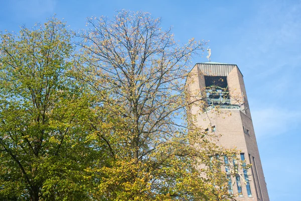 Blick durch die Bäume gegen einen Turm in den Niederlanden — Stockfoto