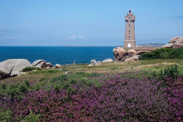 Lighthouse at coast of Brittany with purple heath in front — Stock Photo, Image