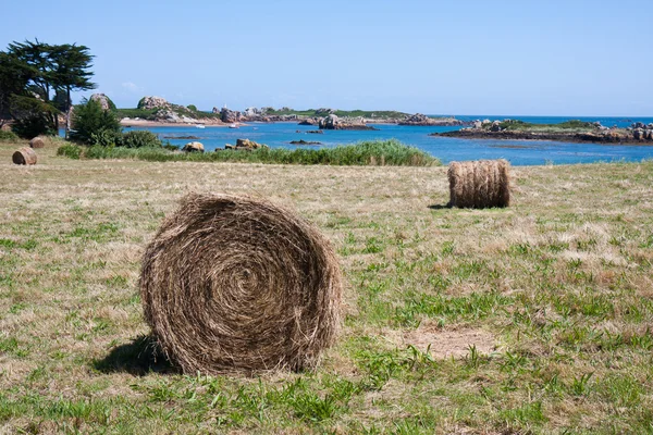 Heuhaufen auf der Insel Brehat in der Bretagne, Frankreich — Stockfoto