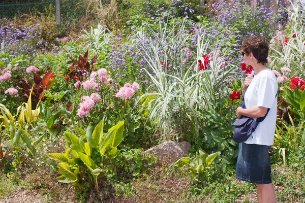 Mulher se perguntando um belo jardim com flores — Fotografia de Stock