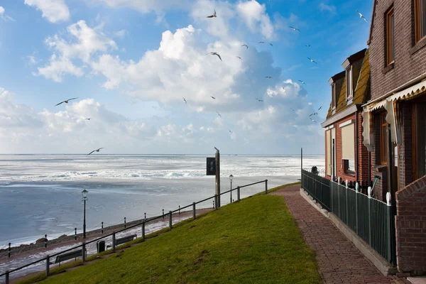 Häuser, Blick über das gefrorene Meer — Stockfoto