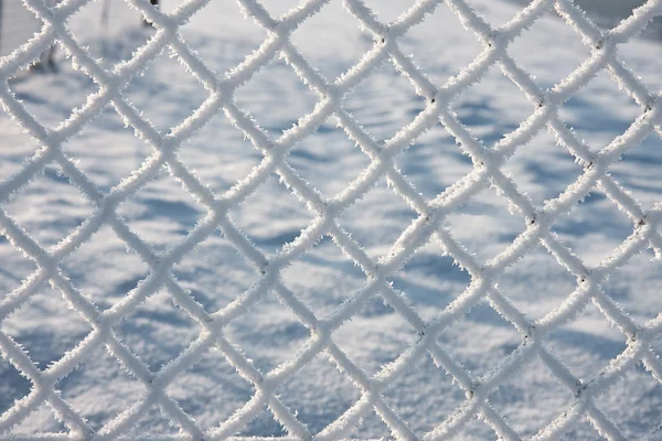Detalhe do arame farpado coberto de neve — Fotografia de Stock
