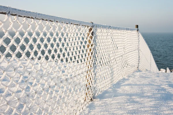 Забор с инеем зимой — стоковое фото