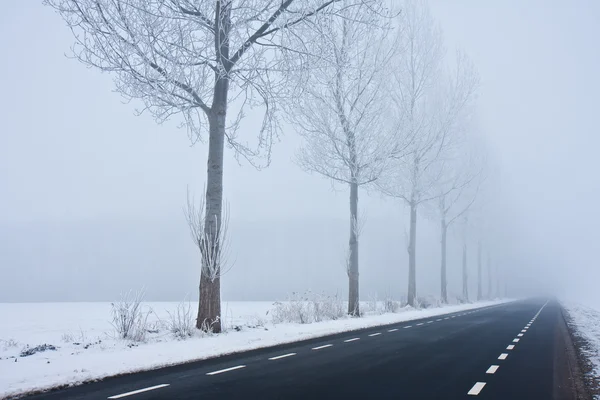 stock image Asphalt road disappearing in winter haze