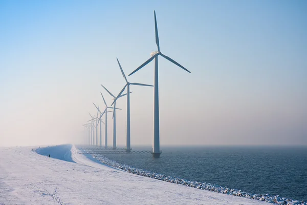 Ряд голландских ветряных мельниц исчезает в зимнем тумане — стоковое фото