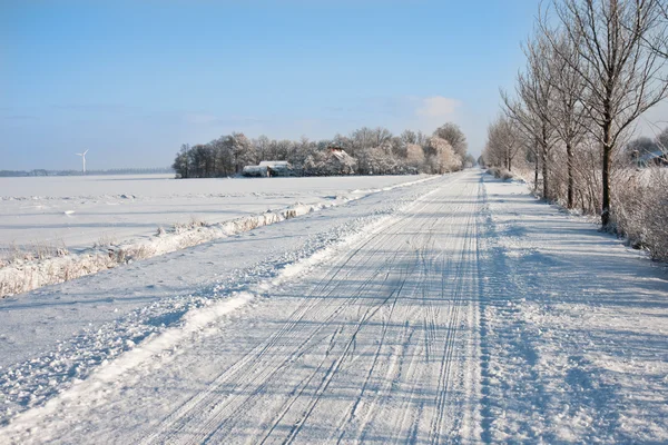 Terras agrícolas nevadas nos Países Baixos — Fotografia de Stock