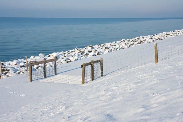 Dobytek mřížky na zasněžené pobřeží v Nizozemsku — Stock fotografie