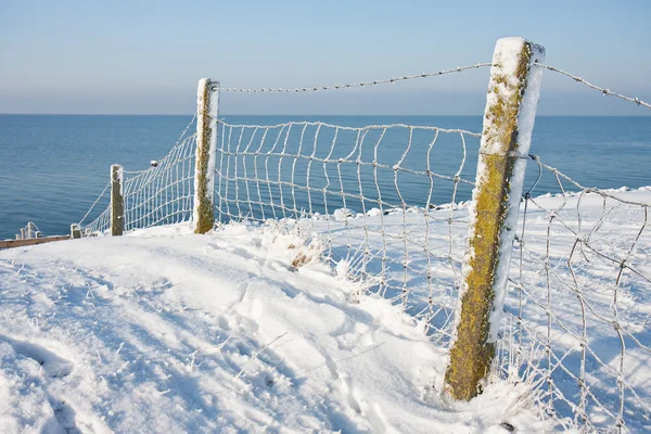 オランダの海岸の近く雪に覆われたフェンス — ストック写真