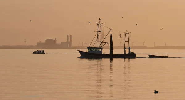 Navio de pesca velejando para casa ao pôr do sol — Fotografia de Stock