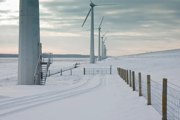 Moulins à vent dans la neige en hiver néerlandais — Photo