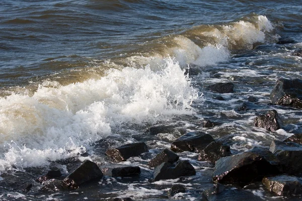オランダの海岸で砕ける波 — ストック写真