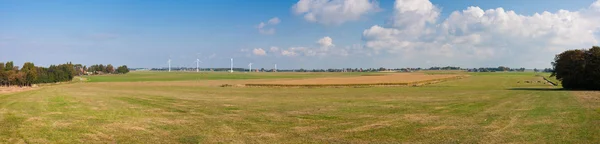 Immense panorama des prairies néerlandaises — Photo
