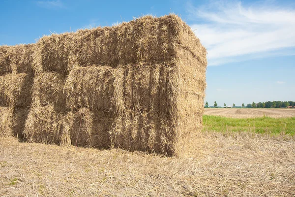 Haystack in the farmland of the Netherlands — Stock Photo, Image